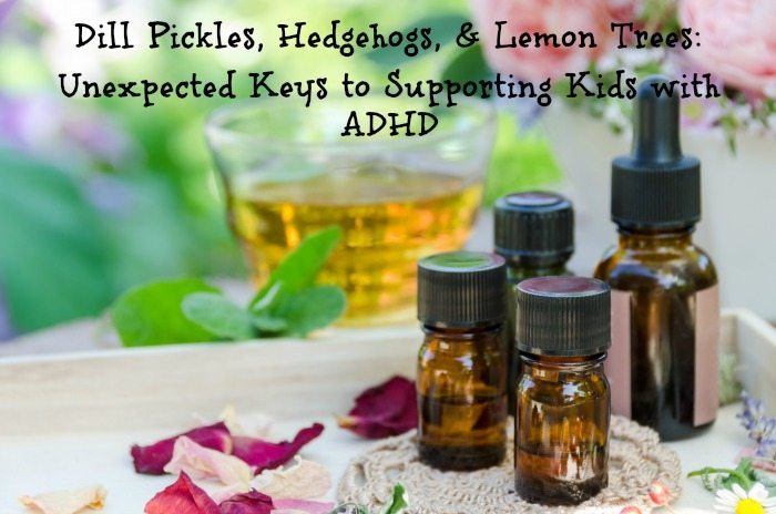 Dill Pickles, Hedgehogs, & Lemon Trees: Unexpected Keys to Supporting Kids with ADHD