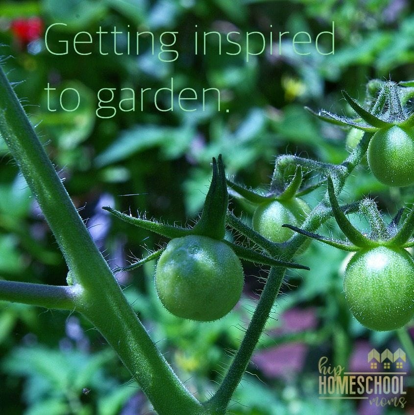 Getting Inspired to Garden