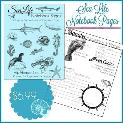 Sea Life Notebook Pages