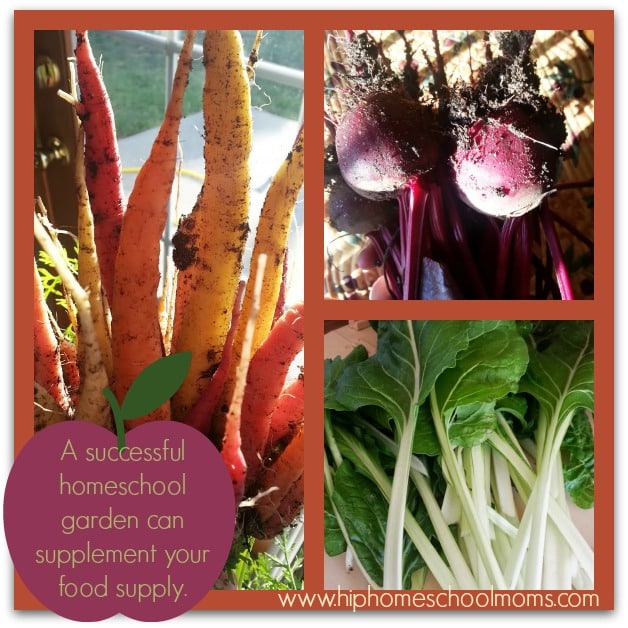 A successful homeschool garden not only enhances your learning but can supplement your food supply and reduce grocery expenses no to mention adding healthy organically grown food to your table. | Hip Homeschool Moms
