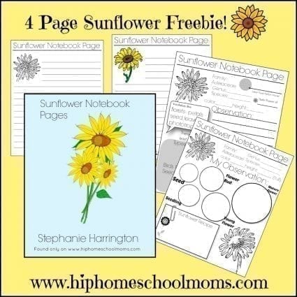 Free Sunflower Notebook Pages | Hip Homeschool Moms
